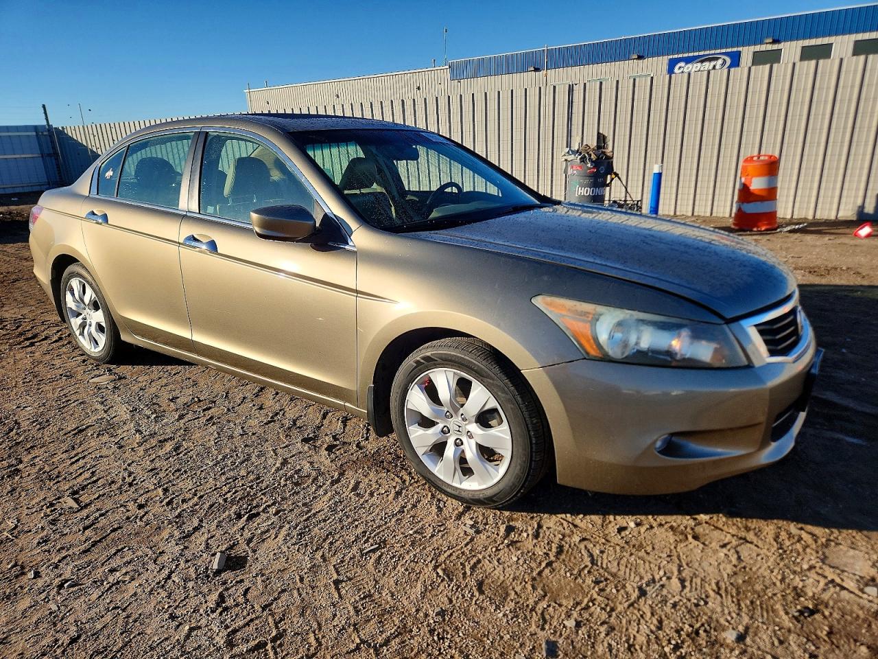 2010 HONDA ACCORD EXL photo 4