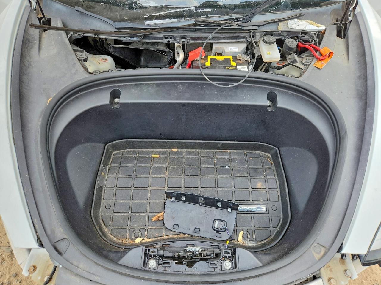 2020 TESLA MODEL 3 photo 11