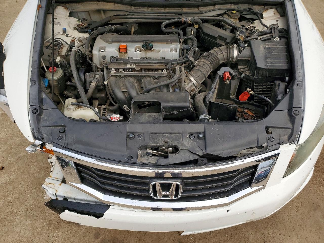 2010 HONDA ACCORD EXL photo 11