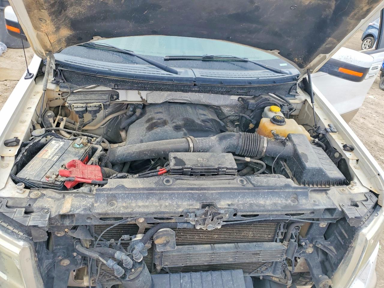 2014 FORD F150 SUPERCREW photo 11