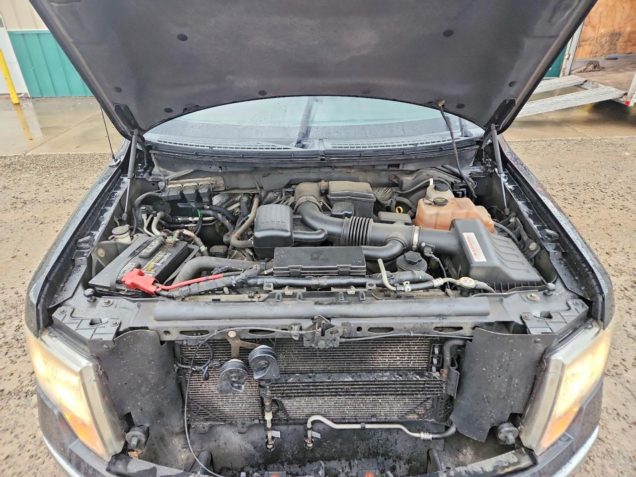 2010 FORD F150 SUPERCREW photo 11