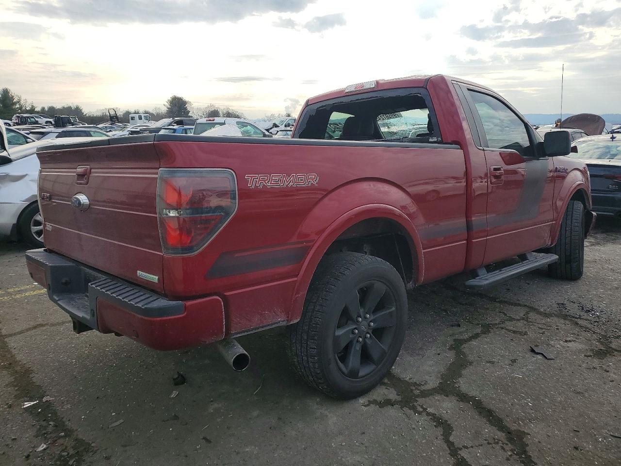 2014 FORD F150 photo 3