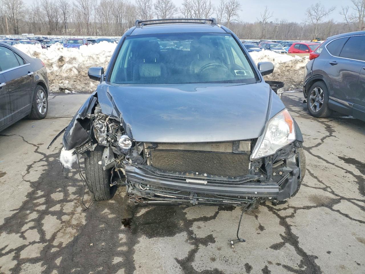 2011 HONDA CR-V EXL photo 5