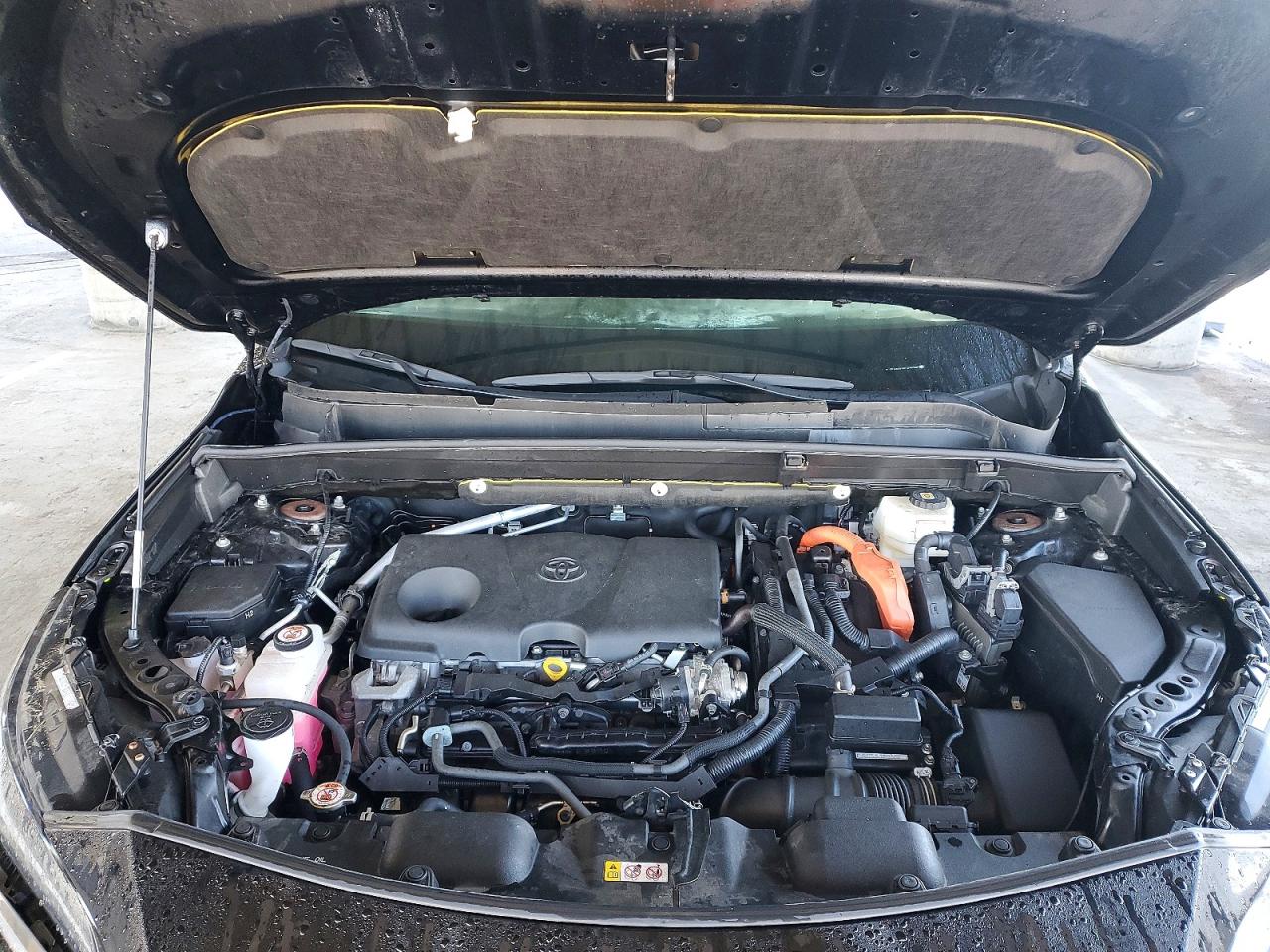 2023 TOYOTA VENZA LE photo 11