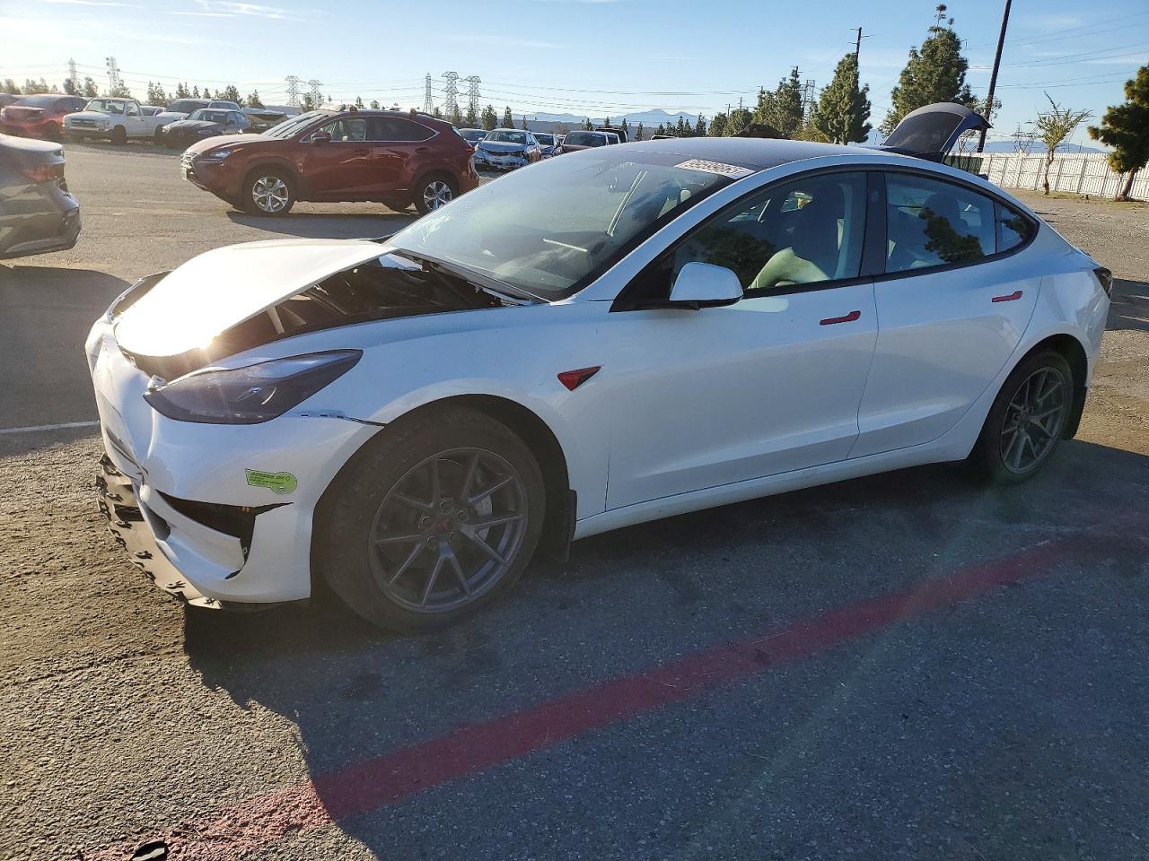 2023 TESLA MODEL 3
