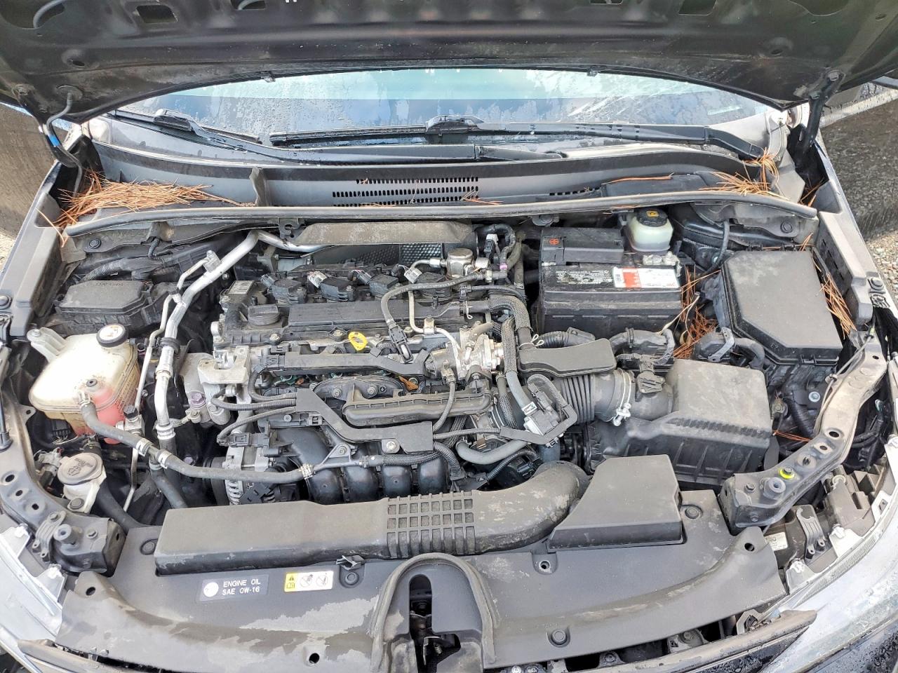 2019 TOYOTA COROLLA SE photo 11