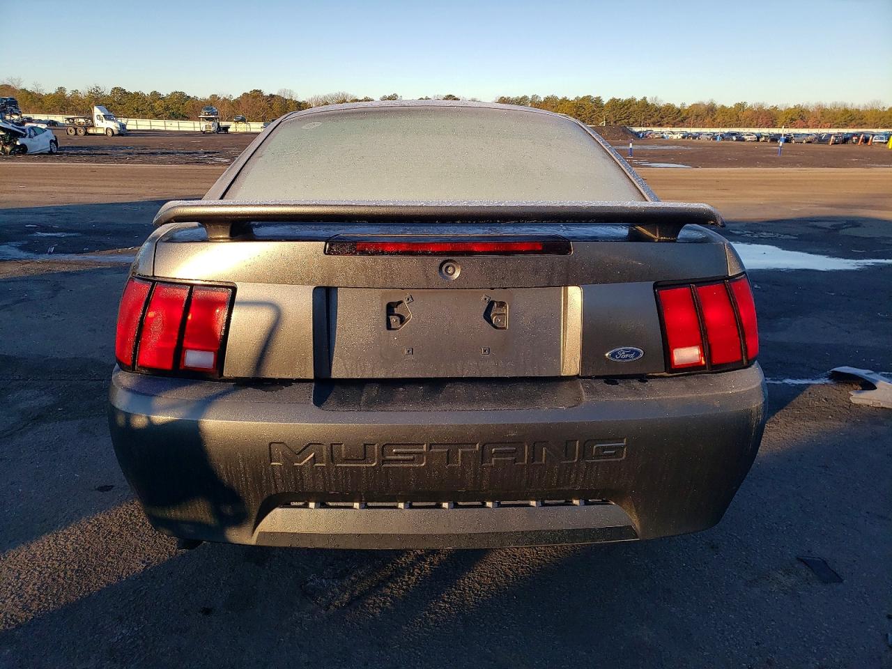 2004 FORD MUSTANG photo 6