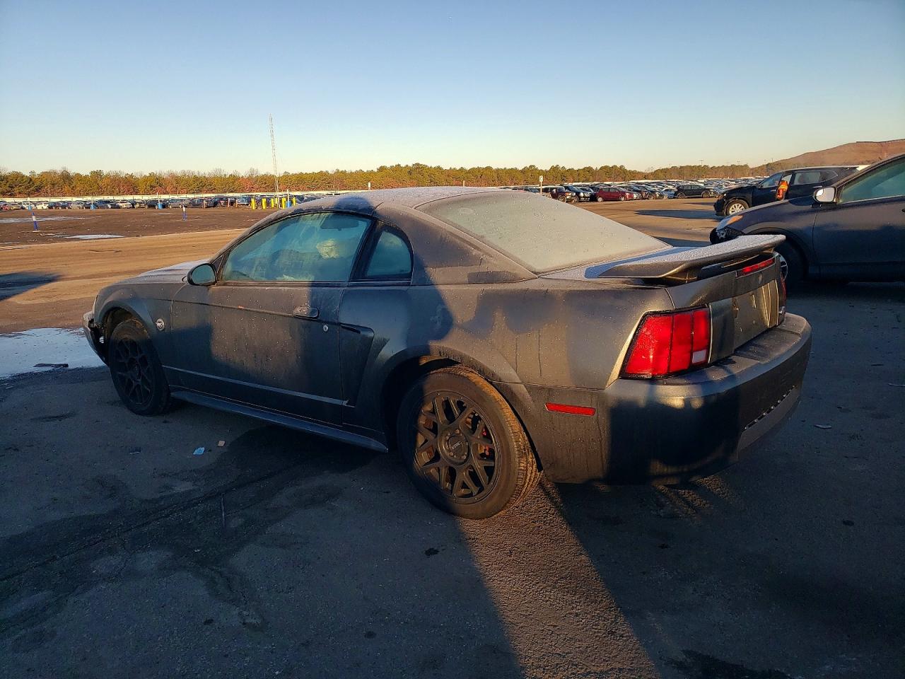2004 FORD MUSTANG photo 2