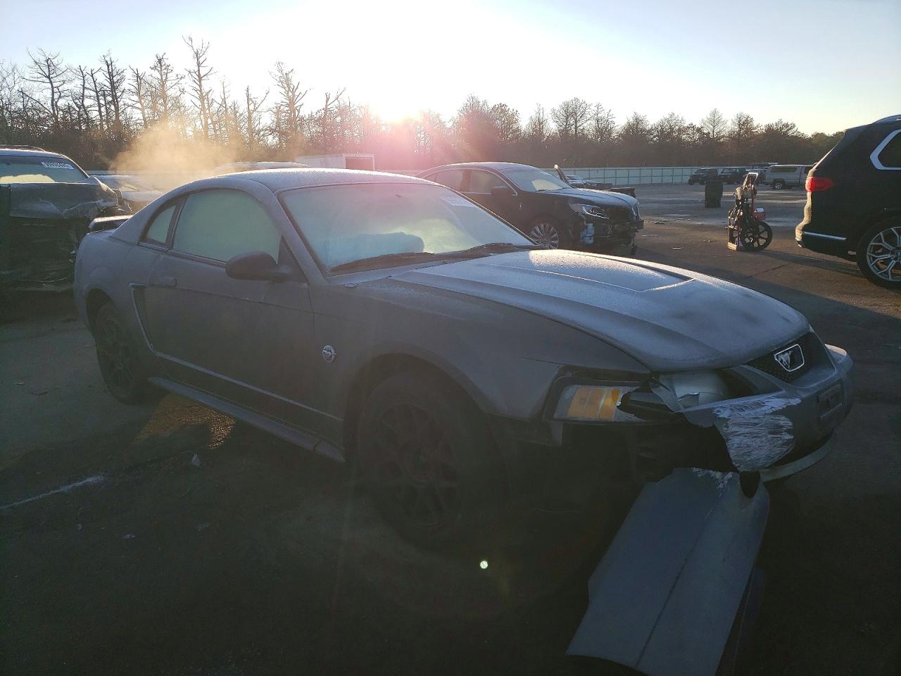 2004 FORD MUSTANG photo 4