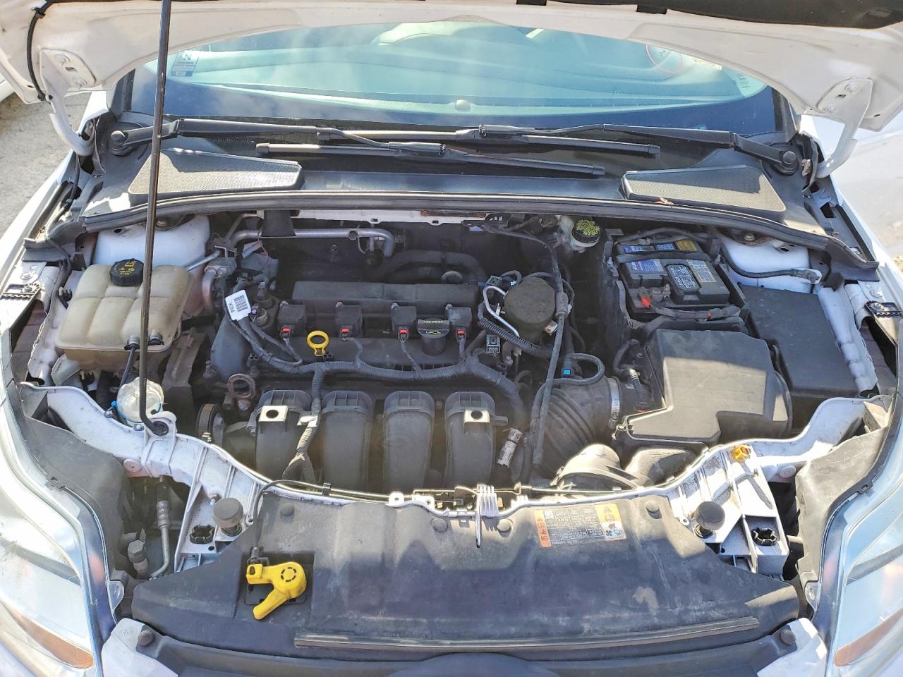 2014 FORD FOCUS SE photo 11