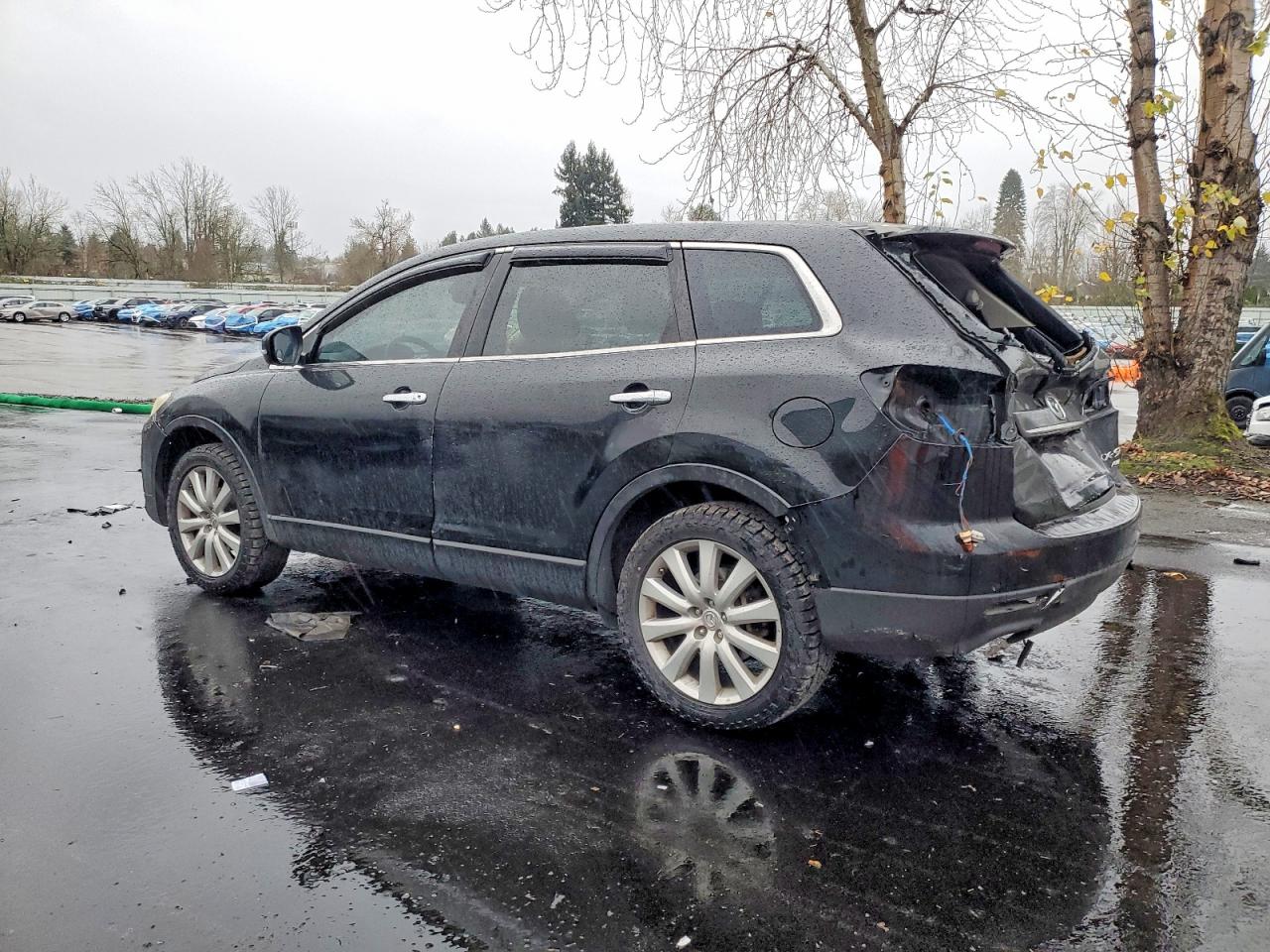 2010 MAZDA CX-9 photo 2