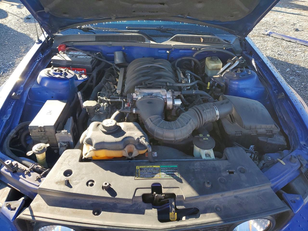 2005 FORD MUSTANG GT photo 11