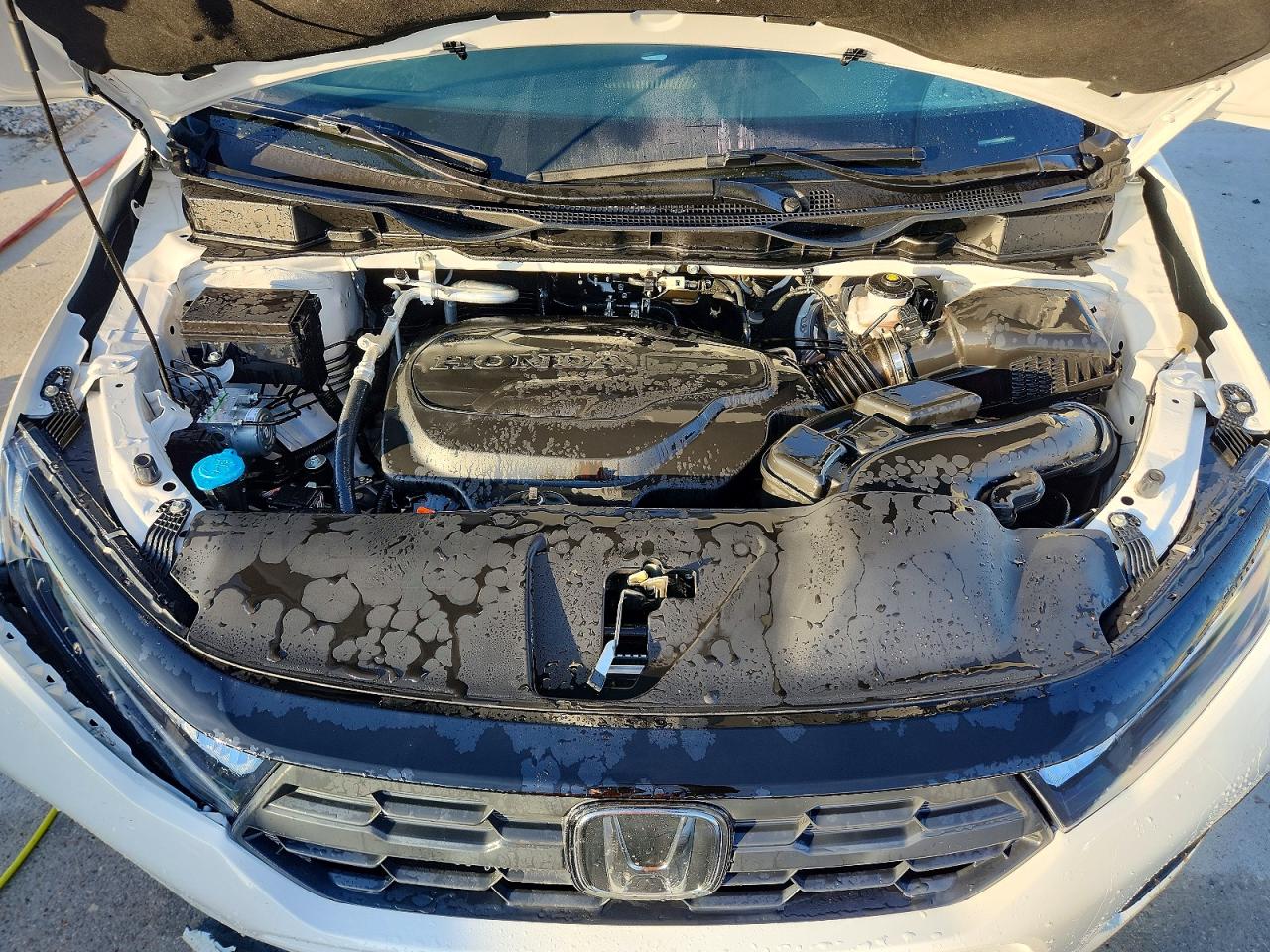 2025 HONDA ODYSSEY EXL photo 12