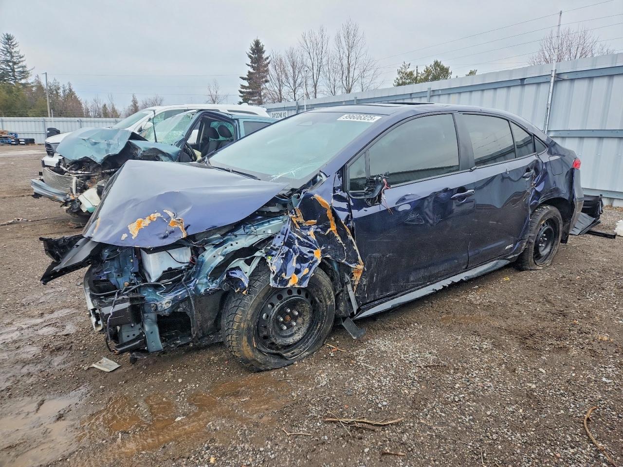 2025 TOYOTA COROLLA
