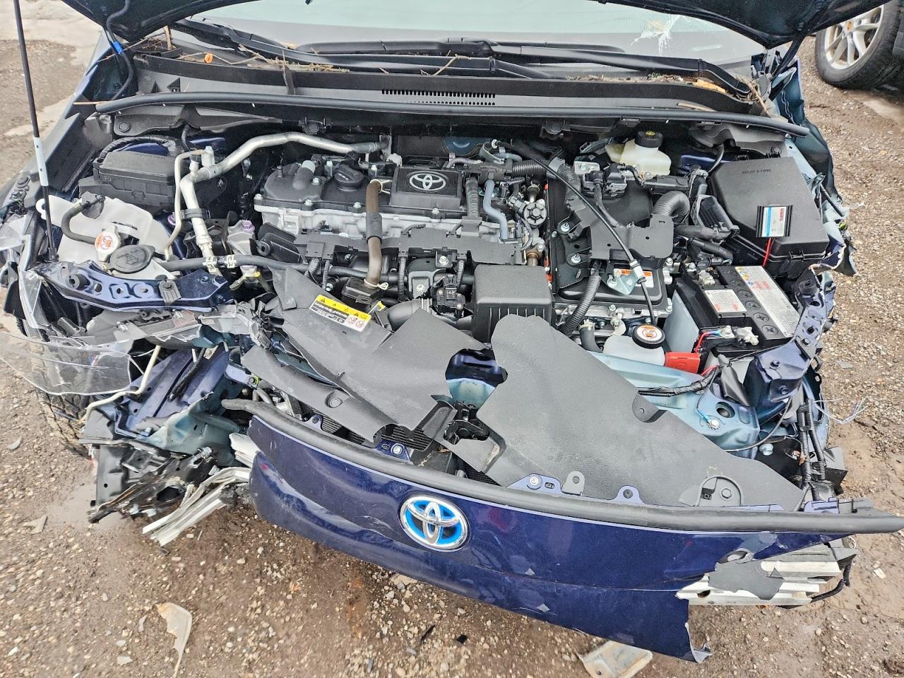 2025 TOYOTA COROLLA LE photo 11