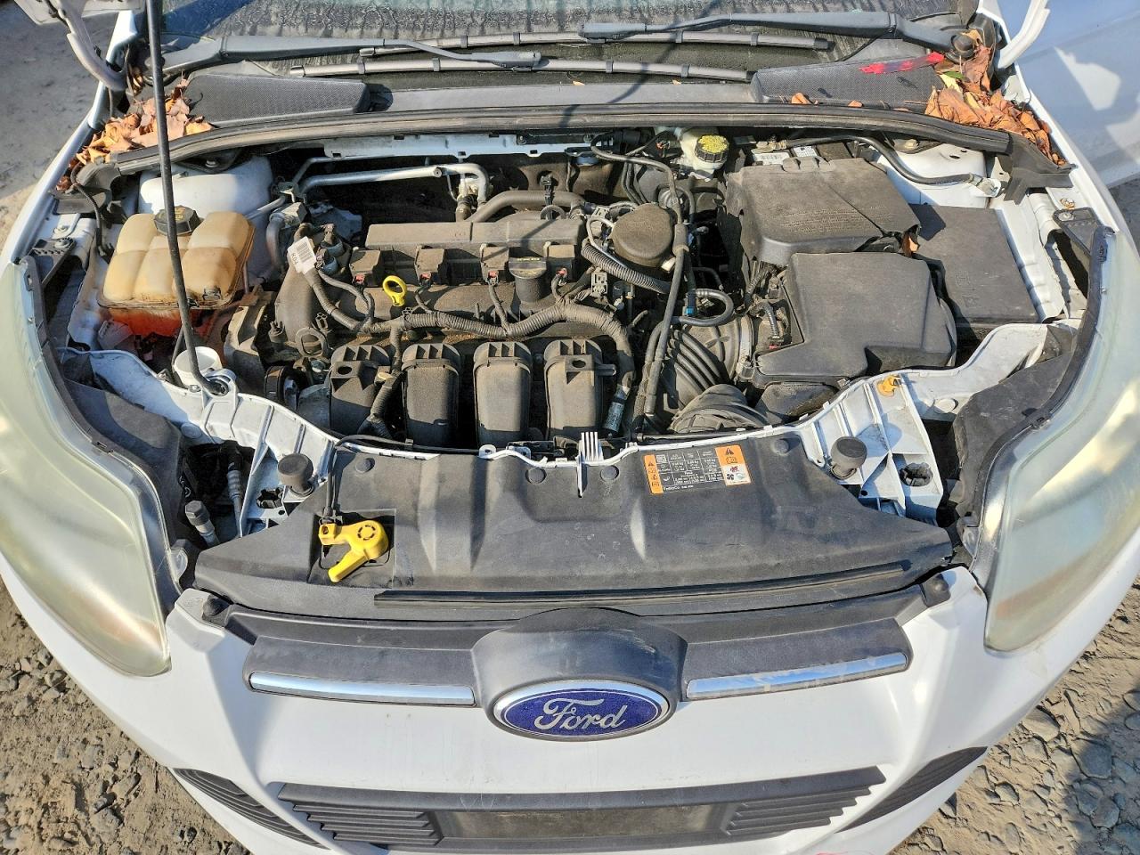 2014 FORD FOCUS SE photo 11