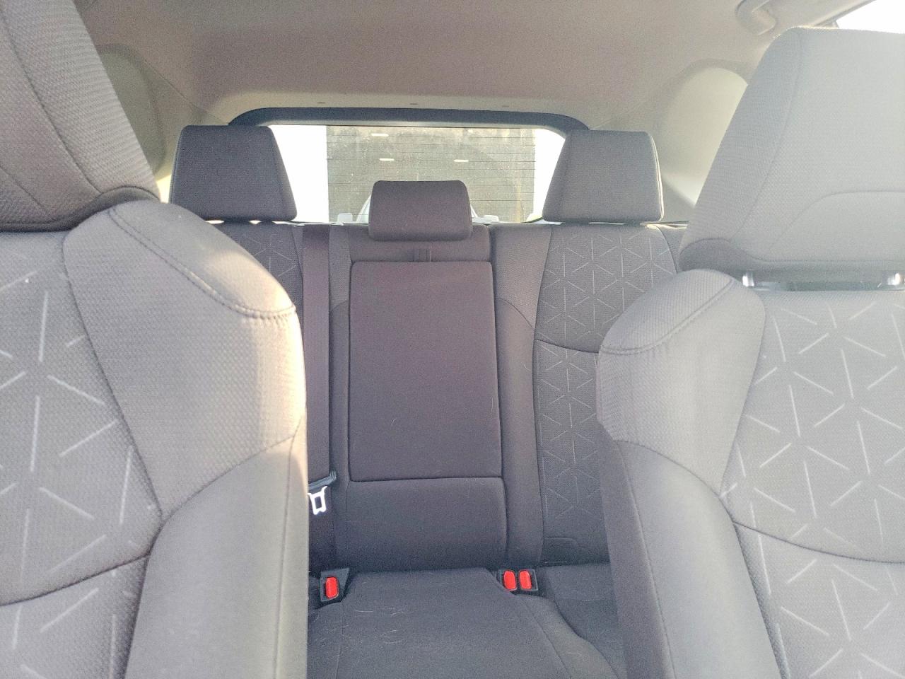 2019 TOYOTA RAV4 XLE photo 10