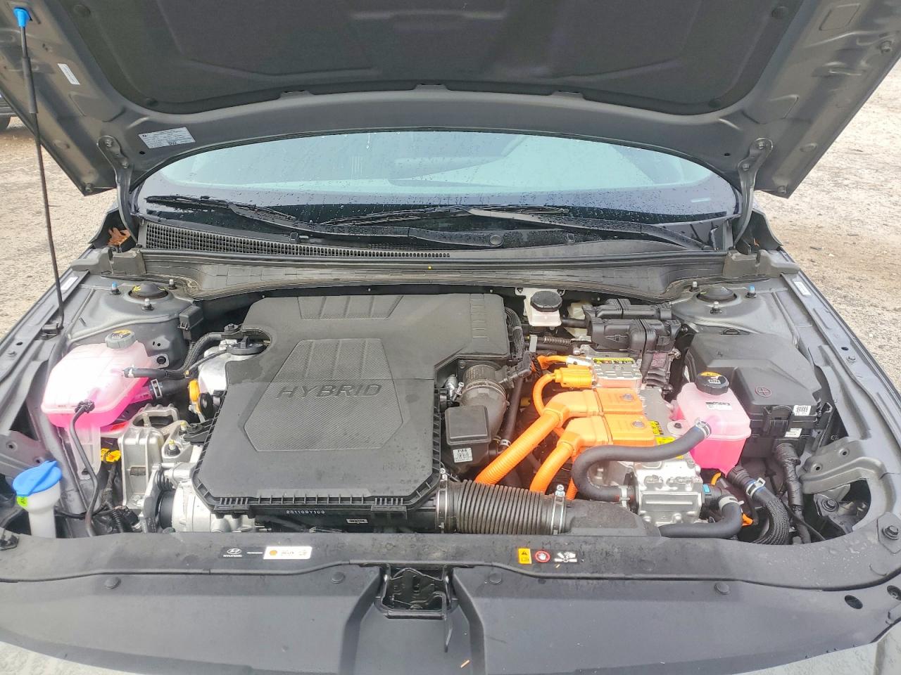 2025 HYUNDAI ELANTRA BLUE photo 11