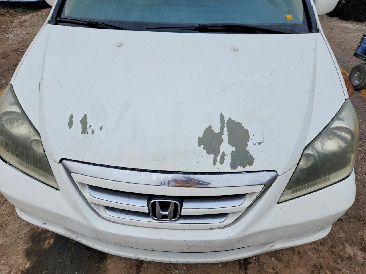 2006 HONDA ODYSSEY EXL photo 12