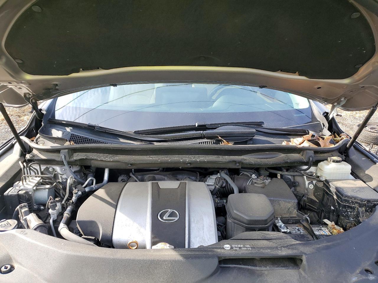 2021 LEXUS RX 350 photo 12