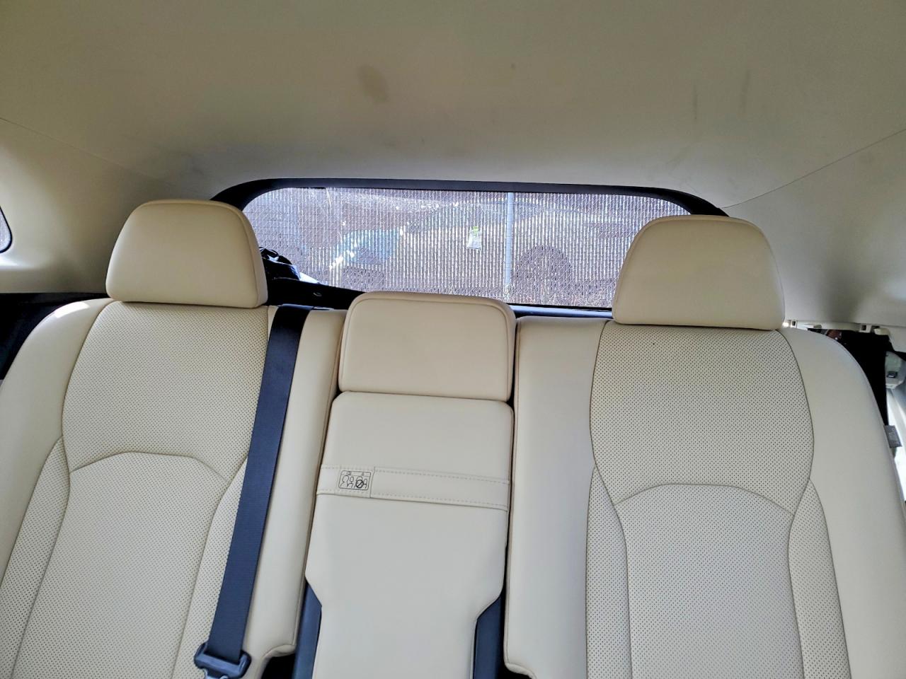 2021 LEXUS RX 350 photo 10