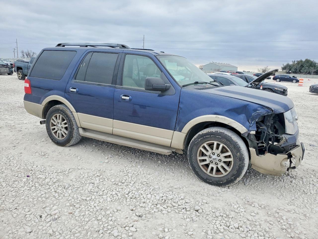 2010 FORD EXPEDITION EDDIE BAUER photo 4