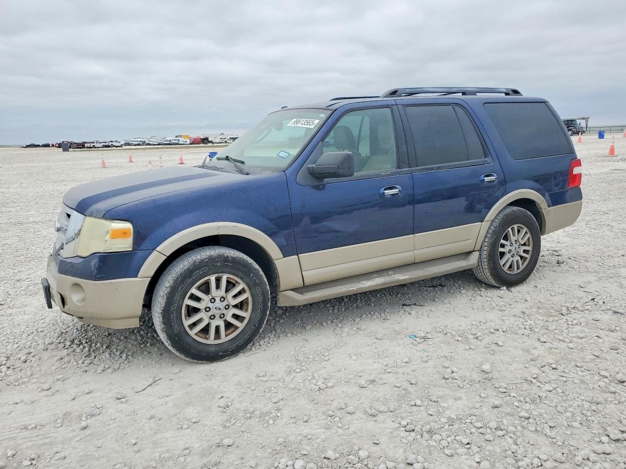 2010 FORD EXPEDITION