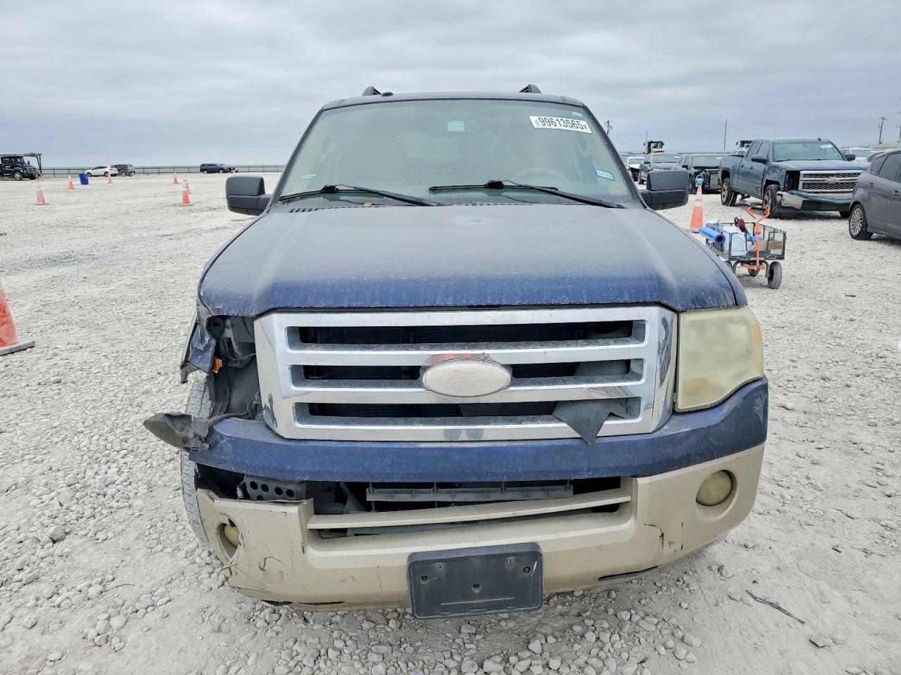 2010 FORD EXPEDITION EDDIE BAUER photo 5