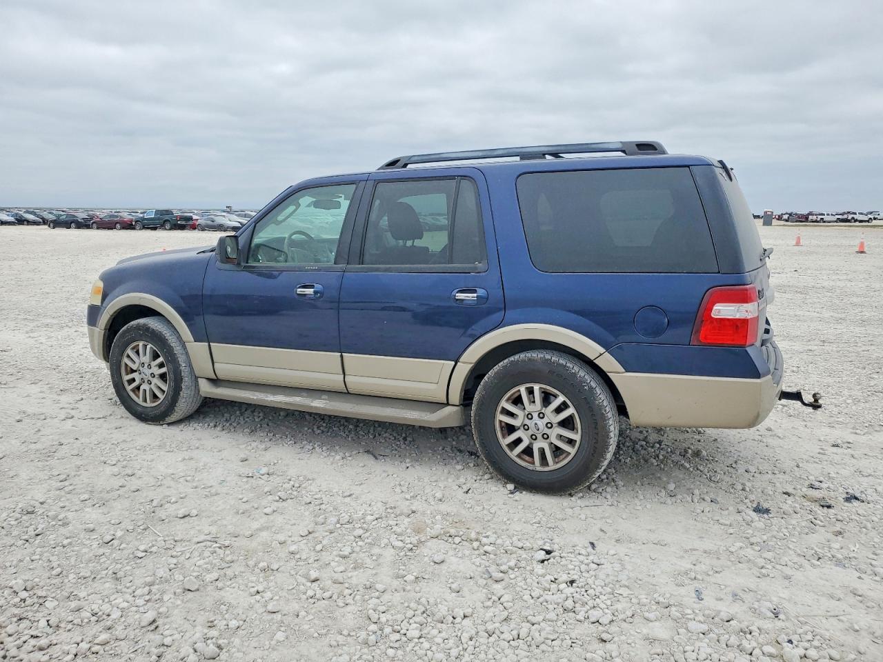 2010 FORD EXPEDITION EDDIE BAUER photo 2