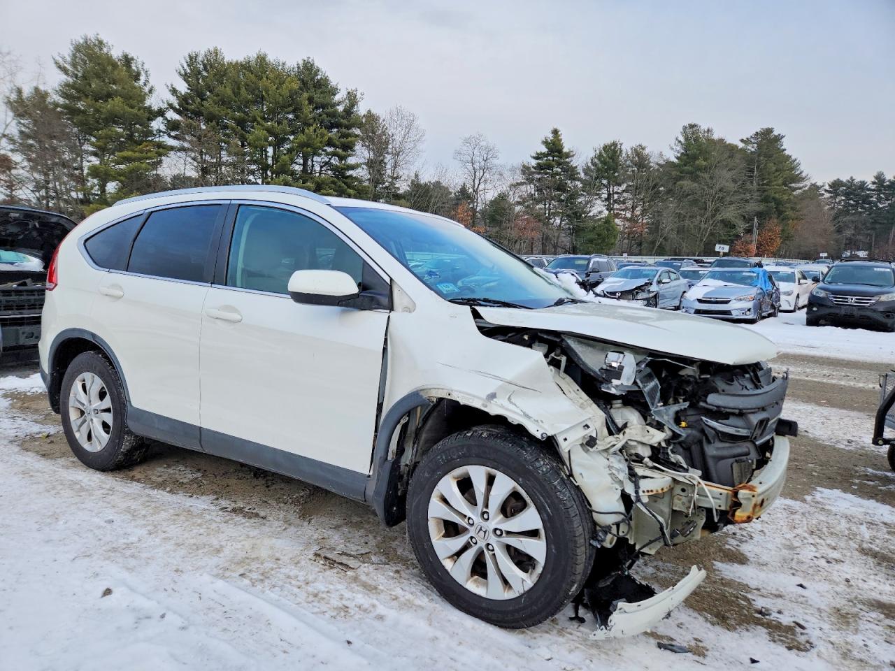2014 HONDA CR-V EXL photo 4