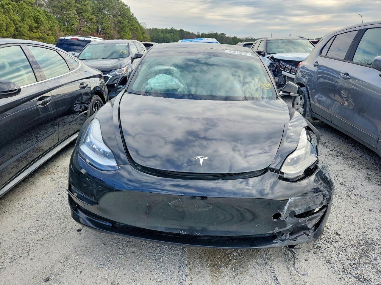 2019 TESLA MODEL 3 photo 5