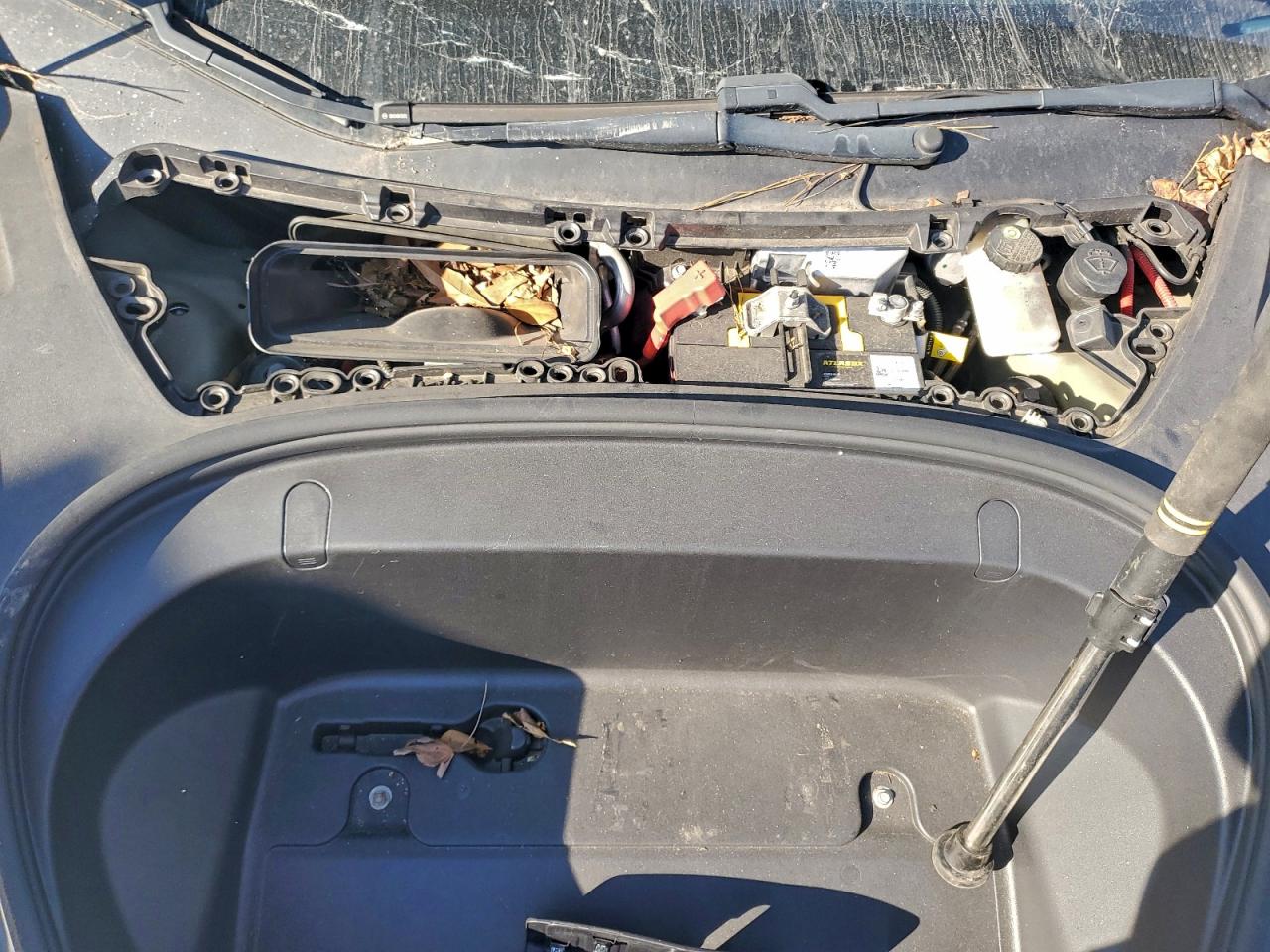 2019 TESLA MODEL 3 photo 11
