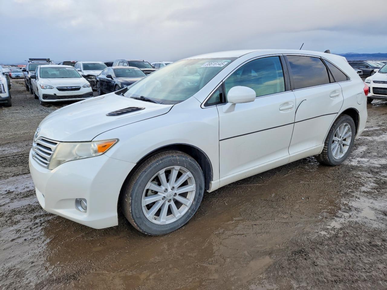 2011 TOYOTA VENZA