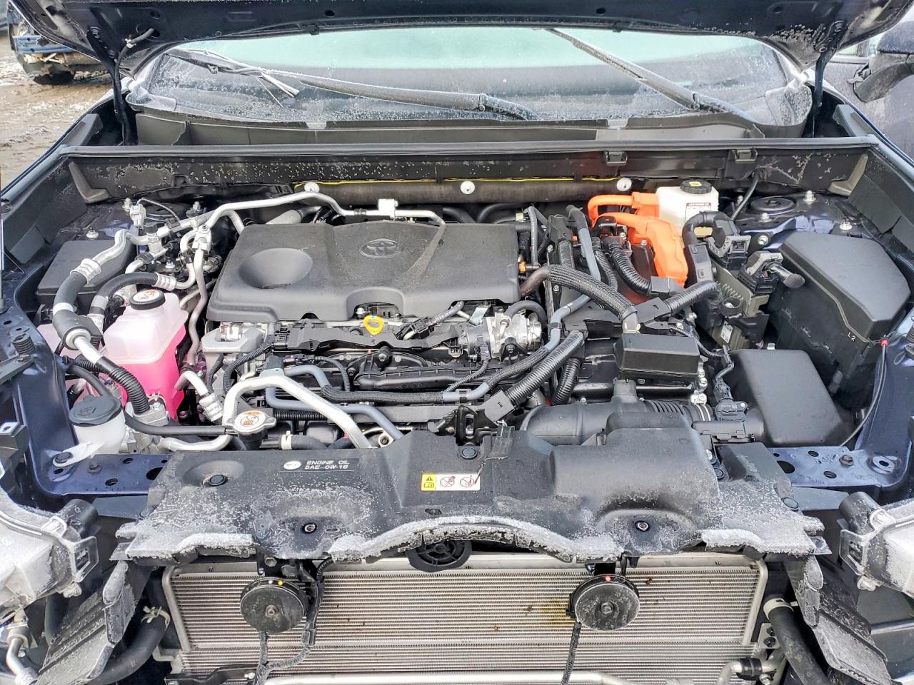 2025 TOYOTA RAV4 SE photo 12
