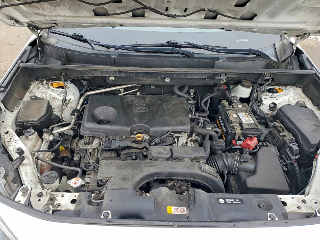 2019 TOYOTA RAV4 XLE PREMIUM photo 12