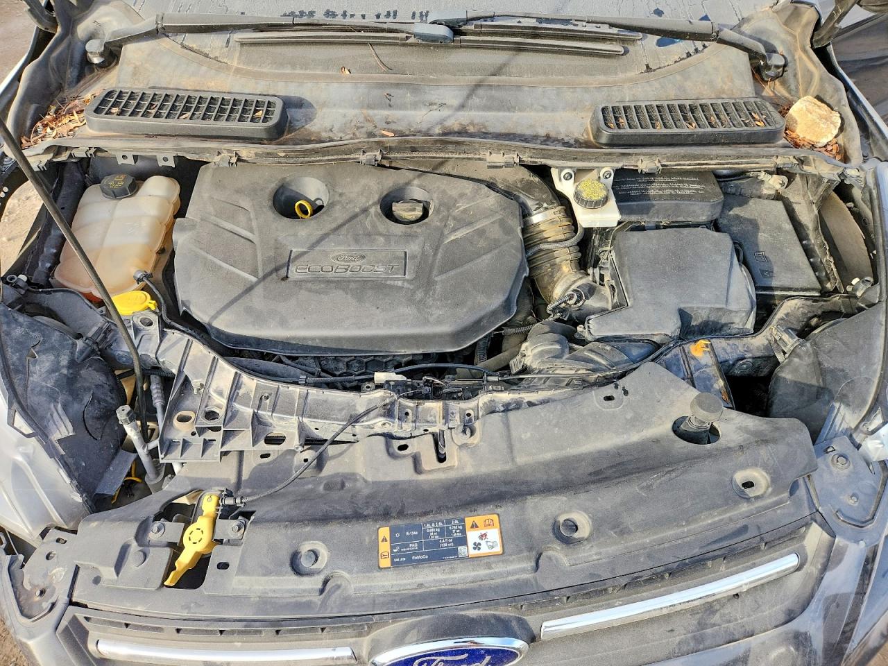 2015 FORD ESCAPE SE photo 11
