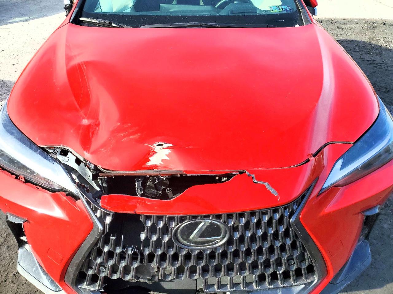 2024 LEXUS NX 350H BASE photo 12