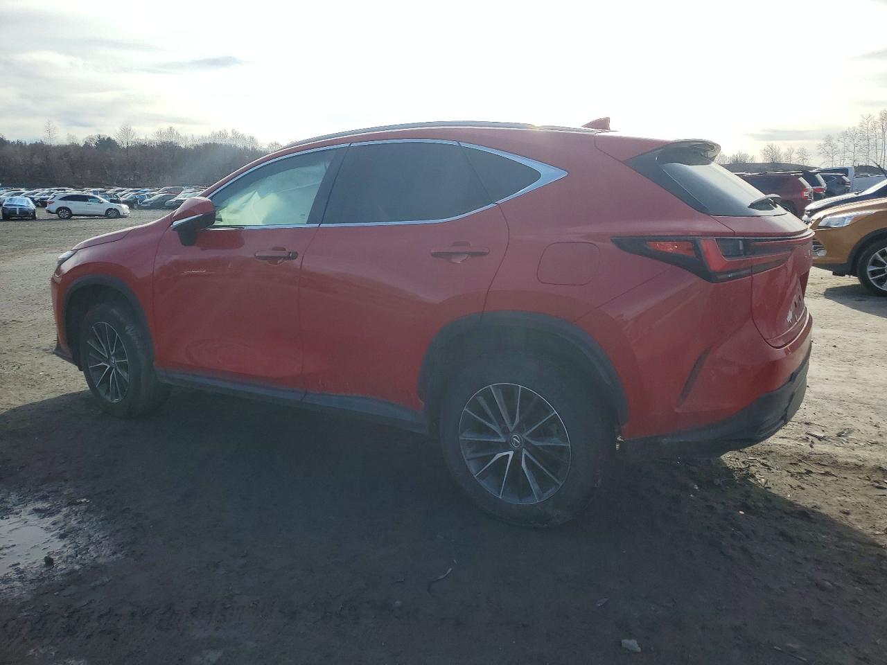 2024 LEXUS NX 350H BASE photo 2