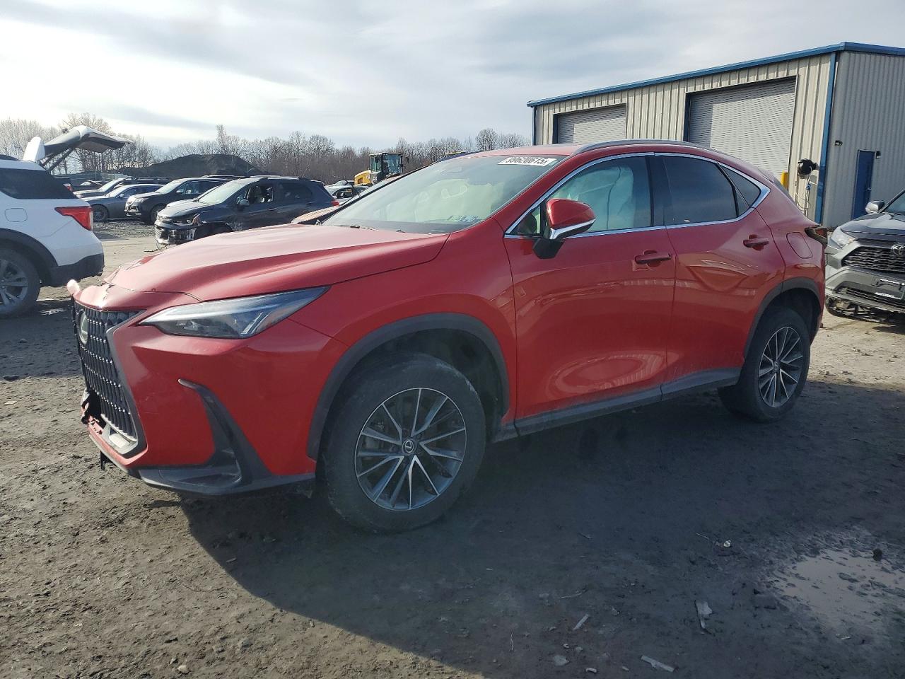 2024 LEXUS NX