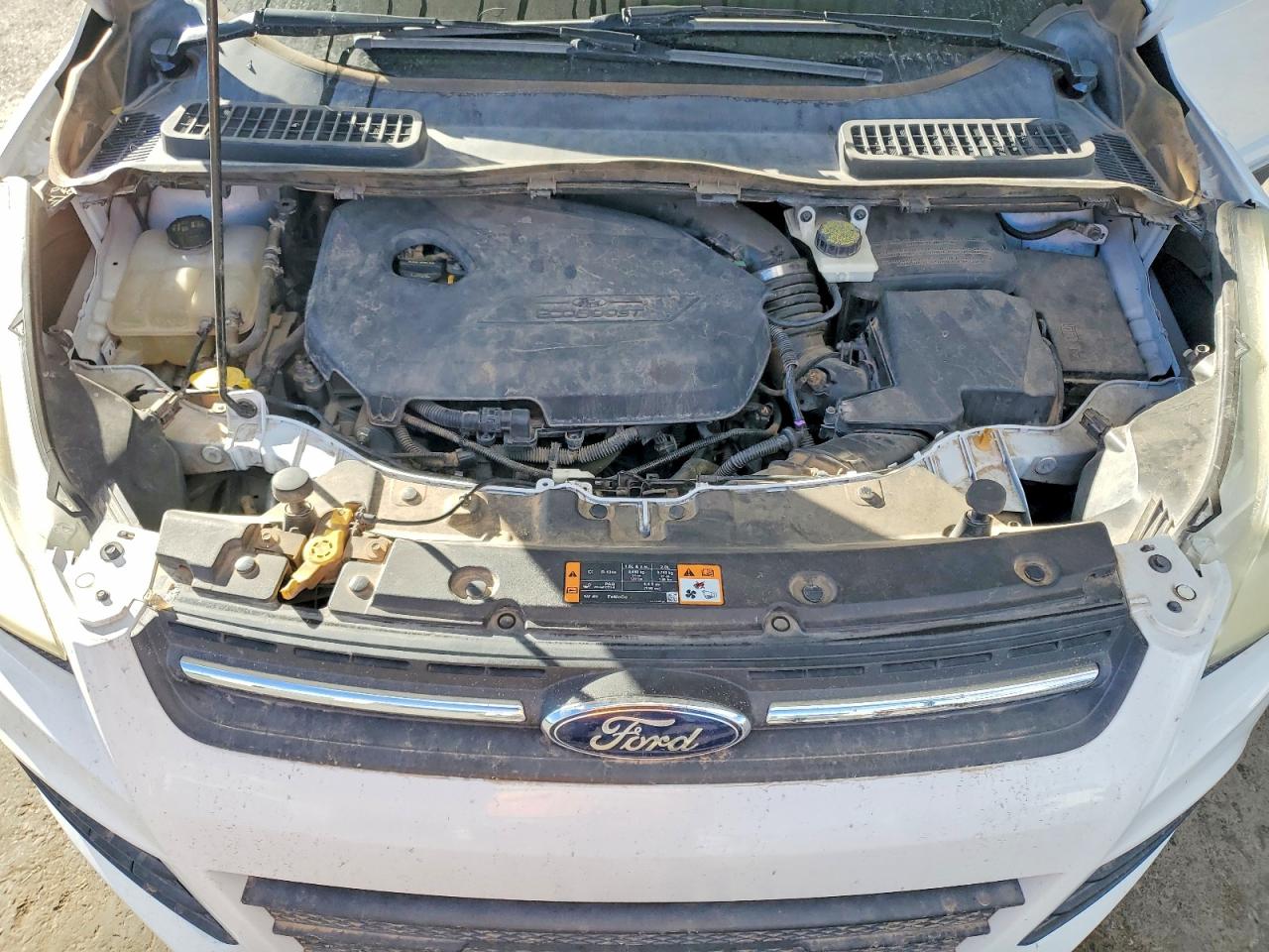 2014 FORD ESCAPE SE photo 12