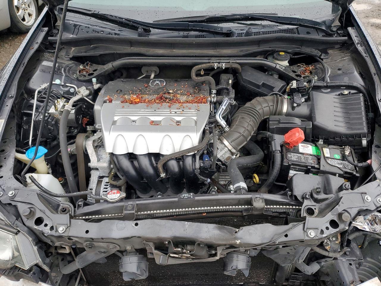 2012 ACURA TSX TECH photo 11