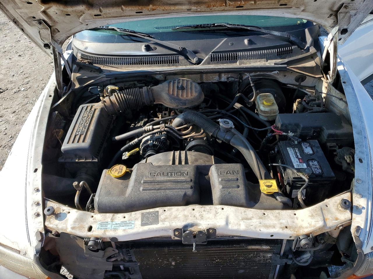 2001 DODGE DAKOTA photo 11