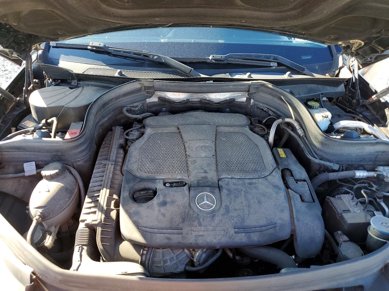 2014 MERCEDES-BENZ GLK 350 photo 12
