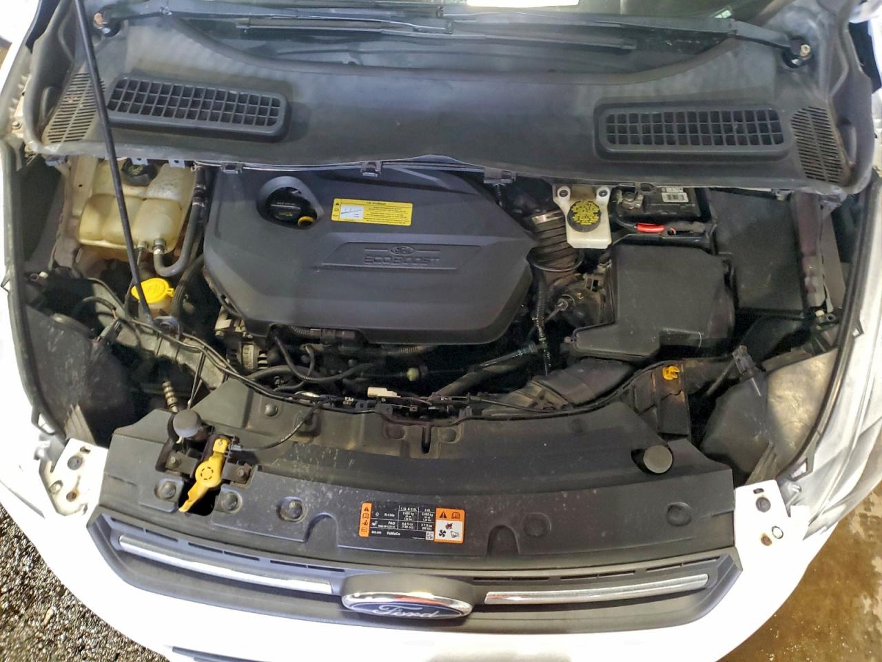 2014 FORD ESCAPE SE photo 12