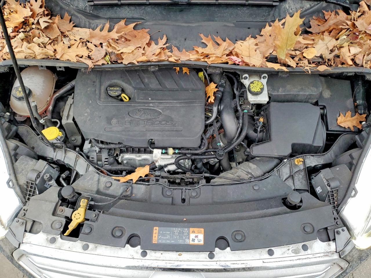2018 FORD ESCAPE SEL photo 12