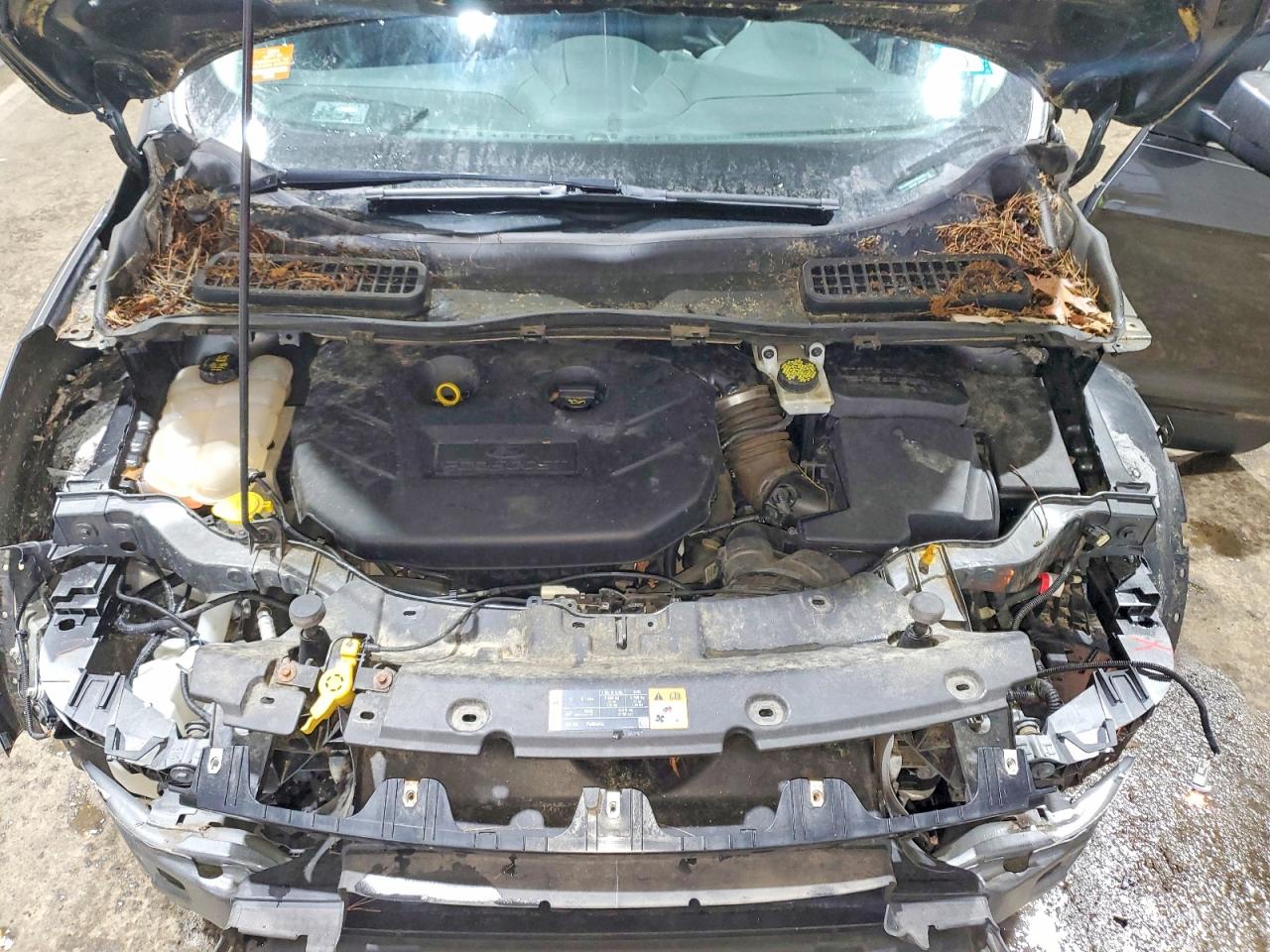 2015 FORD ESCAPE SE photo 12