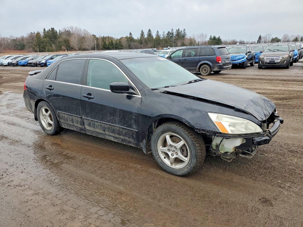 2007 HONDA ACCORD EX photo 4