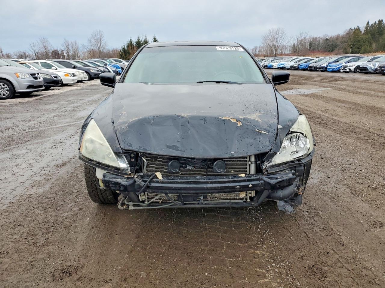 2007 HONDA ACCORD EX photo 5