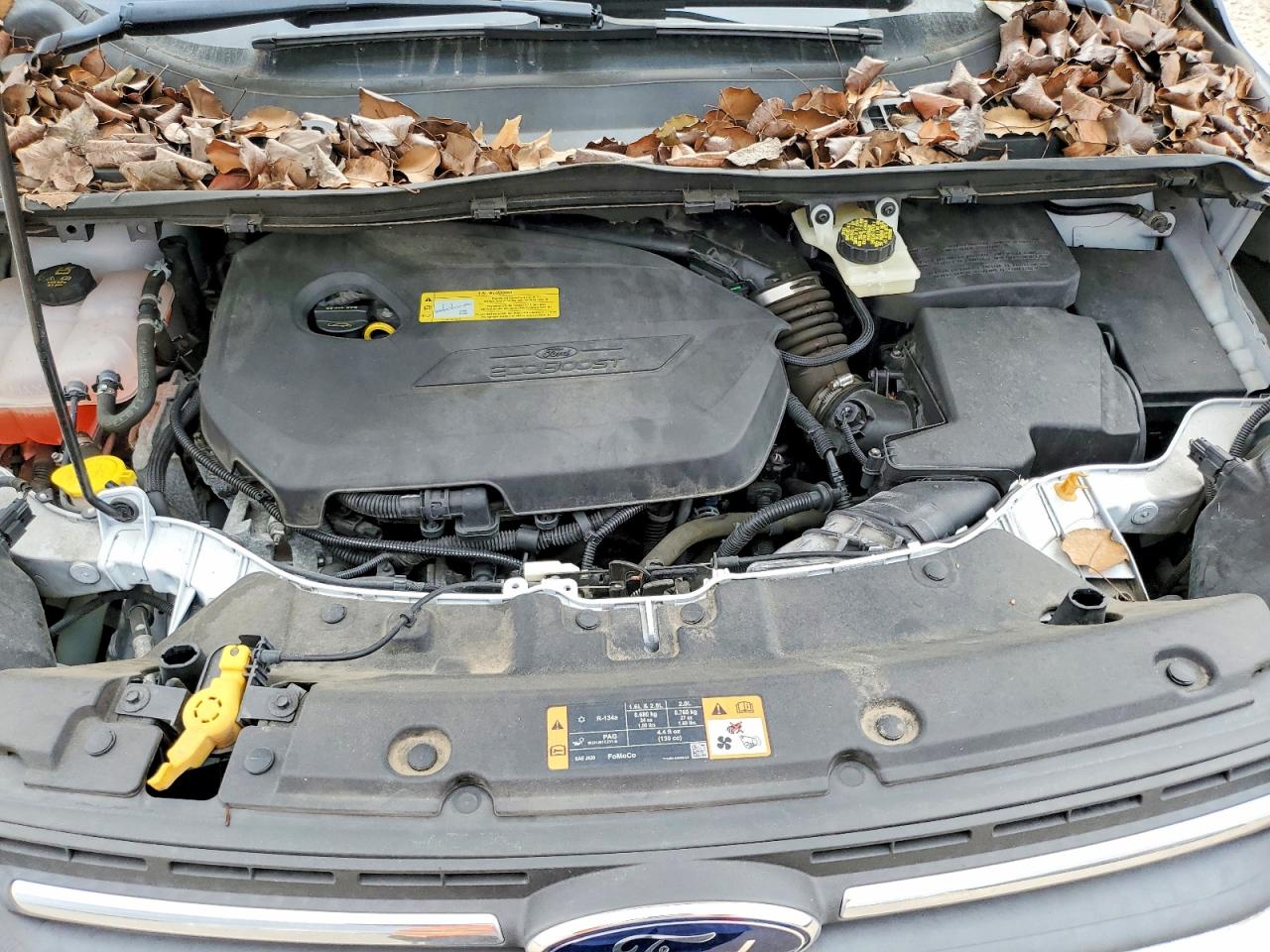 2014 FORD ESCAPE SE photo 11