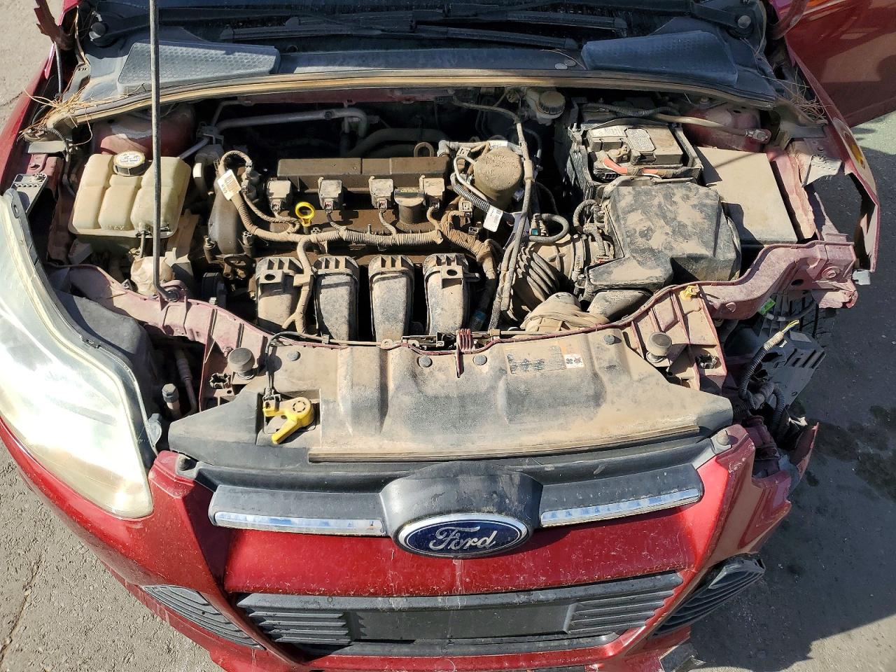 2014 FORD FOCUS SE photo 11